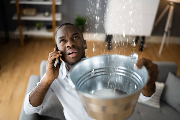 Best Water damage restoration specialists  in Triangle, VA