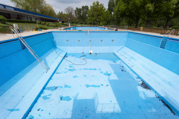 Best Mold removal after water damage  in Triangle, VA
