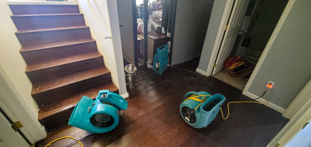 Best Emergency water damage restoration  in Triangle, VA