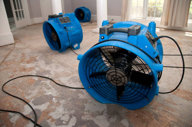 Best Flooded house restoration  in Triangle, VA