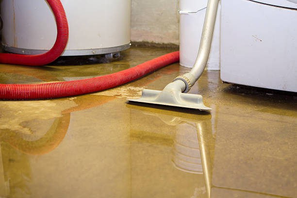 Best Water damage contractors near me  in Triangle, VA