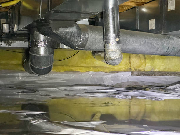 Best Sewage cleanup and water damage restoration  in Triangle, VA