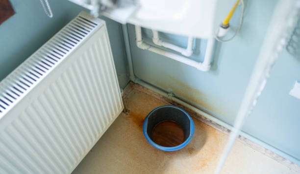 Best Water damage restoration mold remediation  in Triangle, VA