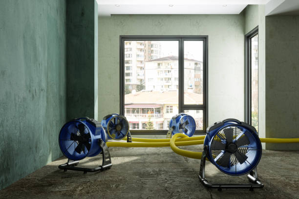 Best Water damage restoration near me  in Triangle, VA